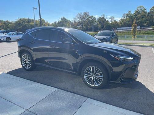 2025 Lexus NX 350h Luxury