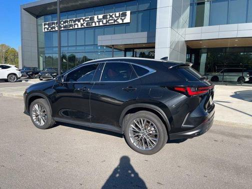 2025 Lexus NX 350h Luxury