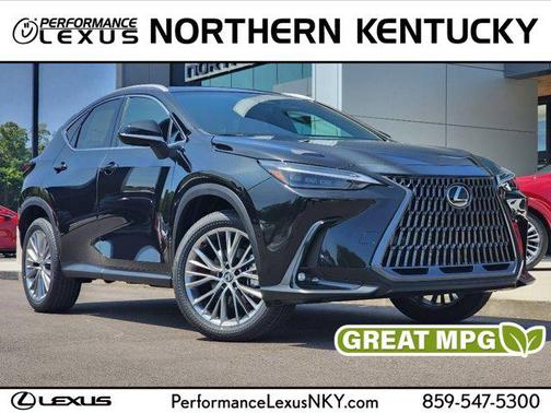 2025 Lexus NX 350h Luxury