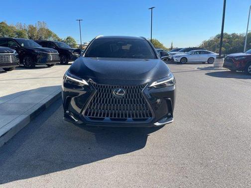 2025 Lexus NX 350h Luxury