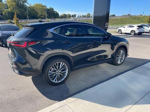 2025 Lexus NX 350h Luxury