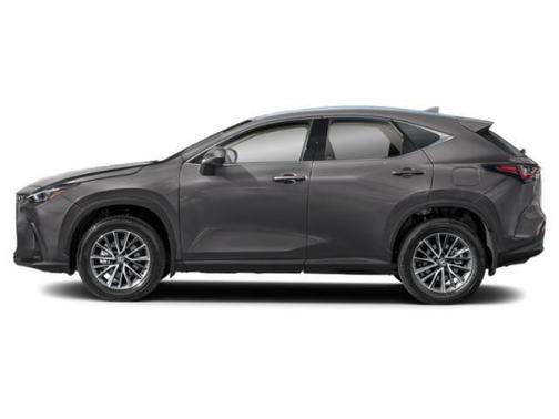 Cloudburst Gray 2026 Lexus NX 350 350
