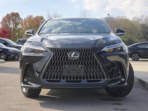 2023 Lexus NX 350 Premium