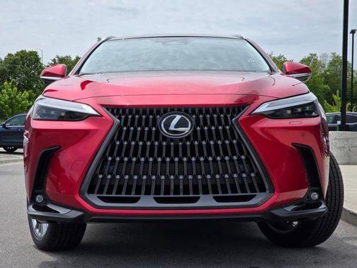 Infrared 2026 Lexus NX 350 Luxury