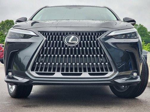 2025 Lexus NX 350 Luxury