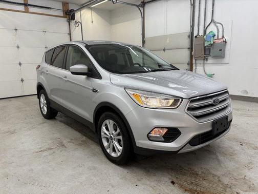 Ingot Silver Metallic 2019 Ford Escape SE