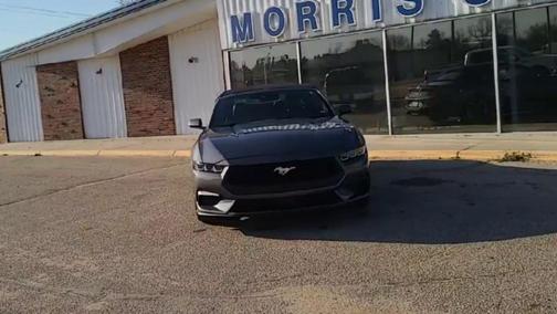 2025 Ford Mustang EcoBoost Premium