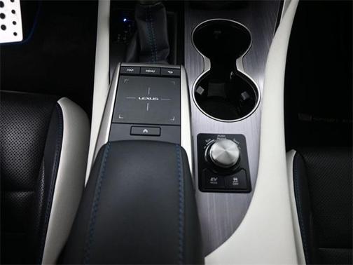 2021 Lexus RX 450h F SPORT Appearance