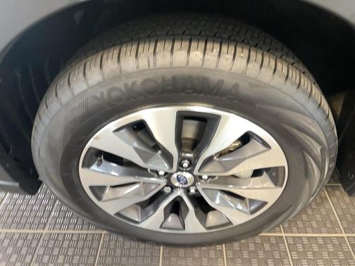 Autumn Green Metallic 2025 Subaru Outback Limited