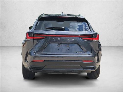 Cloudburst Gray 2024 Lexus NX 250 Premium