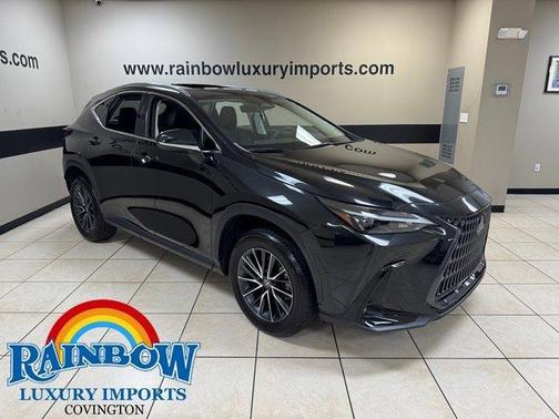 2024 Lexus NX 250 Premium