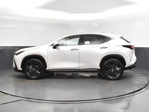 2025 Lexus NX 450h+ Luxury