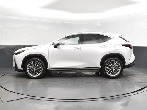 2025 Lexus NX 350 Premium