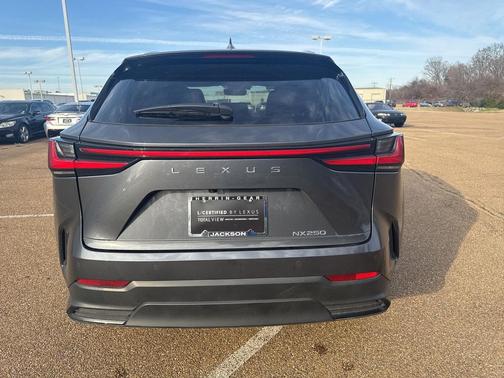 2025 Lexus NX 250 Premium