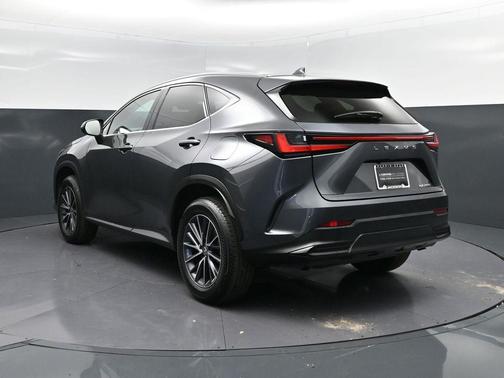 2025 Lexus NX 250 Premium