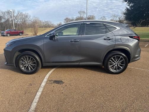 2025 Lexus NX 250 Premium