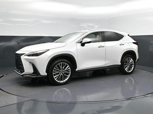 2025 Lexus NX 350 Premium