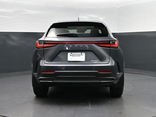 Cloudburst Gray 2026 Lexus NX 350 Premium