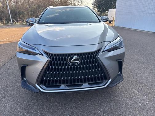 2025 Lexus NX 250 Base