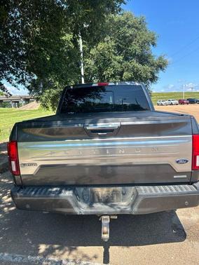 Magnetic 2019 Ford F-150 Platinum
