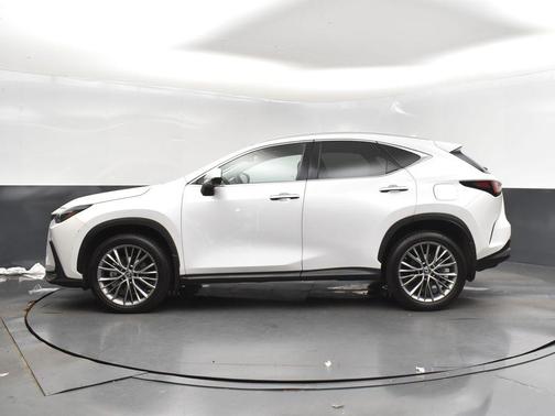 2023 Lexus NX 350 Luxury