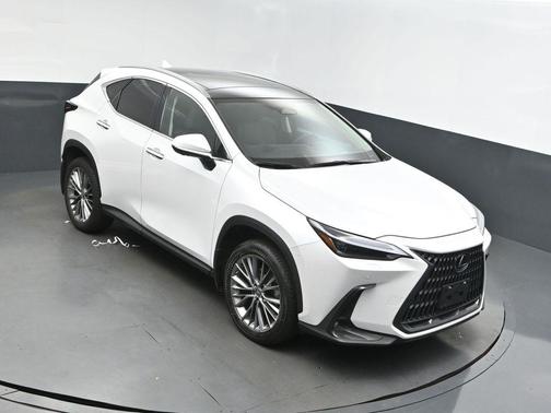 2023 Lexus NX 350 Luxury