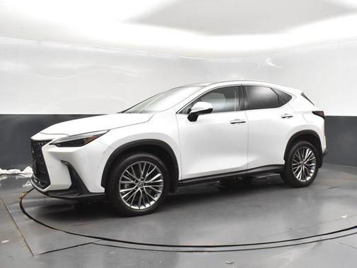 2023 Lexus NX 350 Luxury