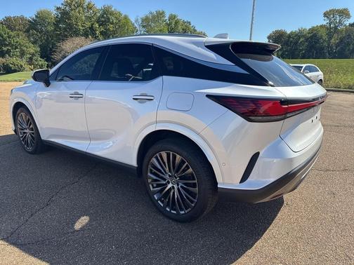2023 Lexus RX 350 Luxury