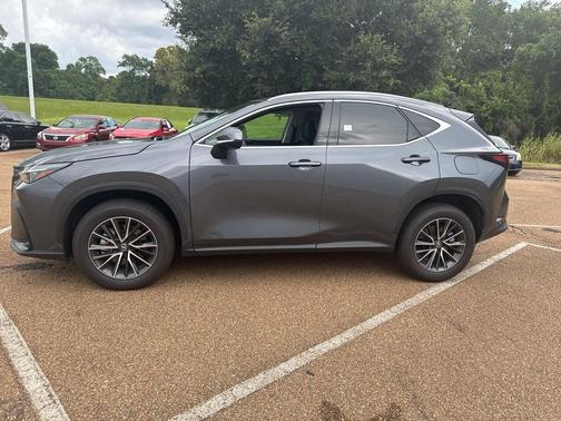 2025 Lexus NX 250 Premium