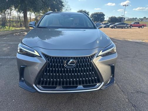 2025 Lexus NX 250 Base