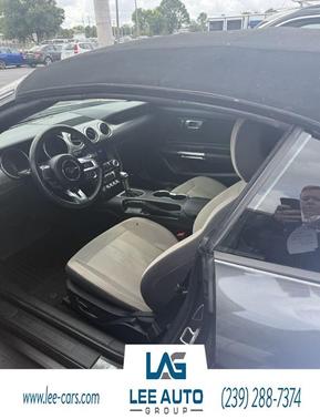 Magnetic 2020 Ford Mustang EcoBoost