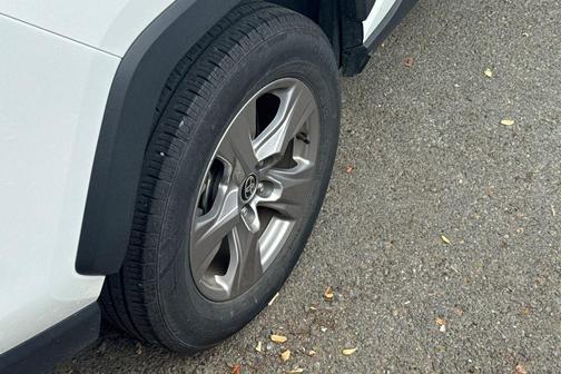 Ice Cap 2025 Toyota RAV4 XLE