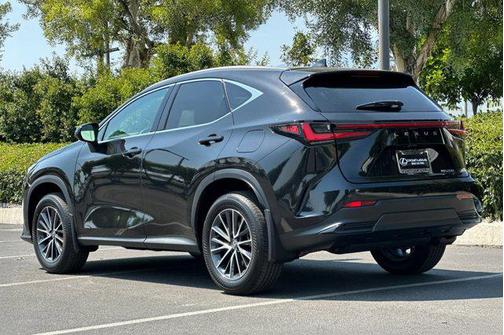 2025 Lexus NX 250 Base