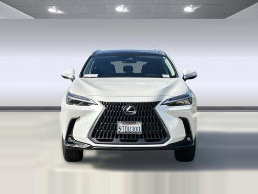 2025 Lexus NX 450h+ Luxury