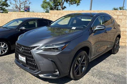 2025 Lexus NX 450h+ Luxury