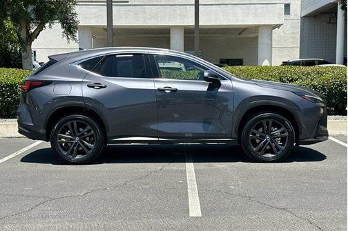 2025 Lexus NX 450h+ Luxury