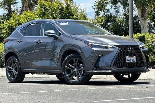 2025 Lexus NX 450h+ Luxury