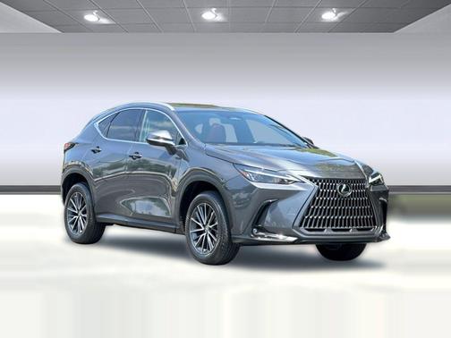 Cloudburst Gray 2024 Lexus NX 350 NX 350