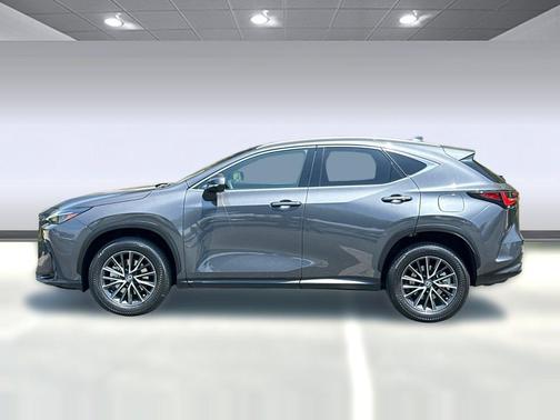 Cloudburst Gray 2024 Lexus NX 350 NX 350