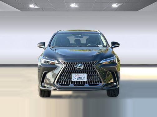 2025 Lexus NX 350h Premium