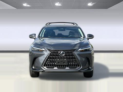 Cloudburst Gray 2025 Lexus NX 350h Premium