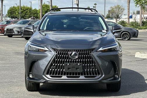 Cloudburst Gray 2025 Lexus NX 350h Premium