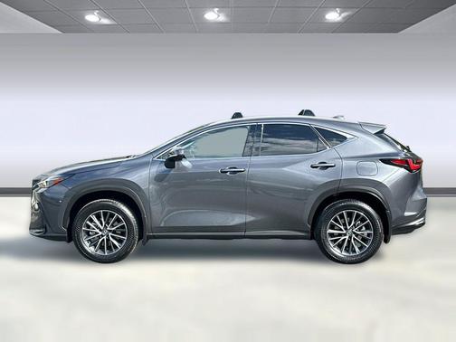 Cloudburst Gray 2025 Lexus NX 350h Premium