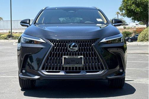 2025 Lexus NX 350h Premium