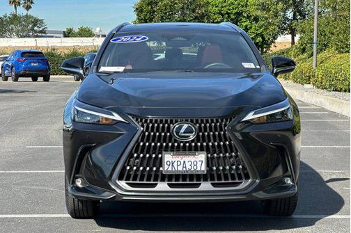 2024 Lexus NX 350h Premium
