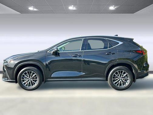 2025 Lexus NX 350h Premium