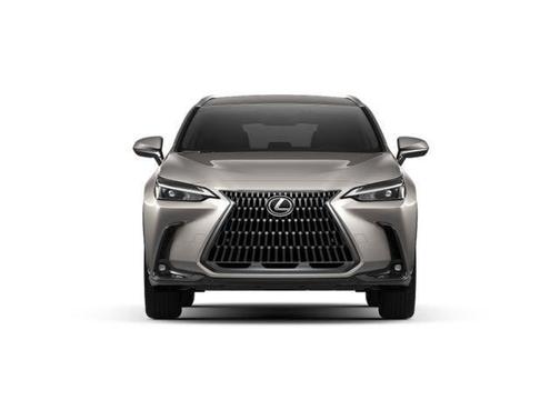 2025 Lexus NX 250 Base