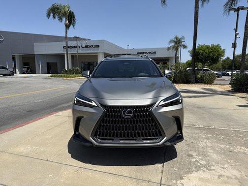 2025 Lexus NX 250 Base