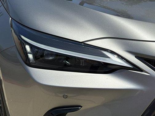 2025 Lexus NX 250 Base