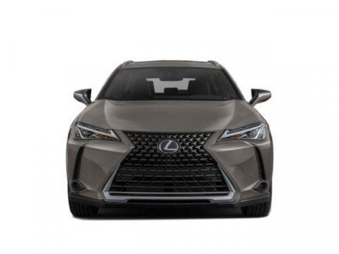 Nebula Gray Pearl 2021 Lexus UX 200 Base